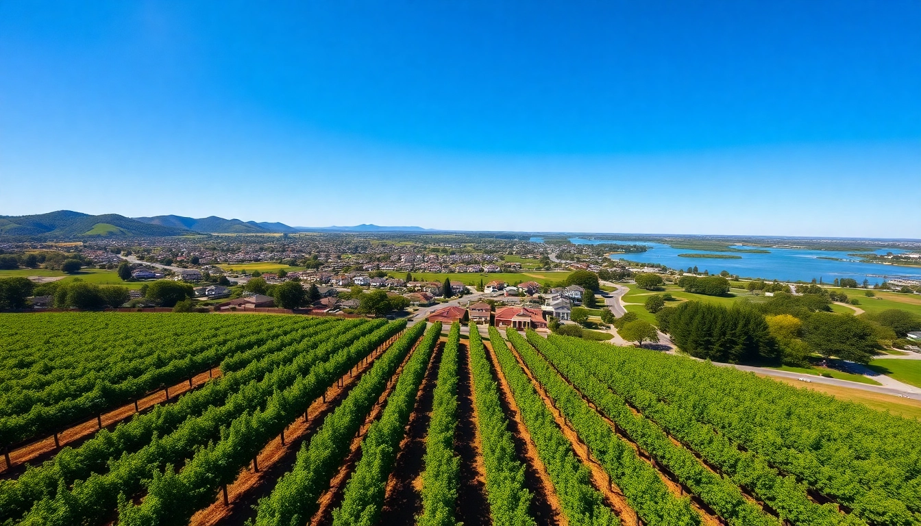 Discover where is clarksburg California through an aerial view capturing vineyards and waterways.